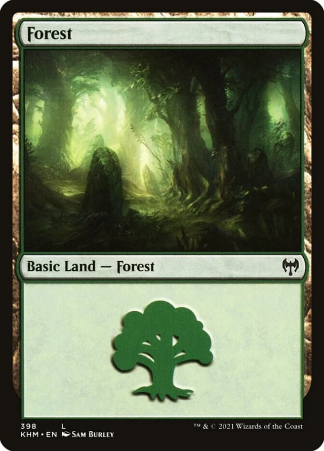 Forest image