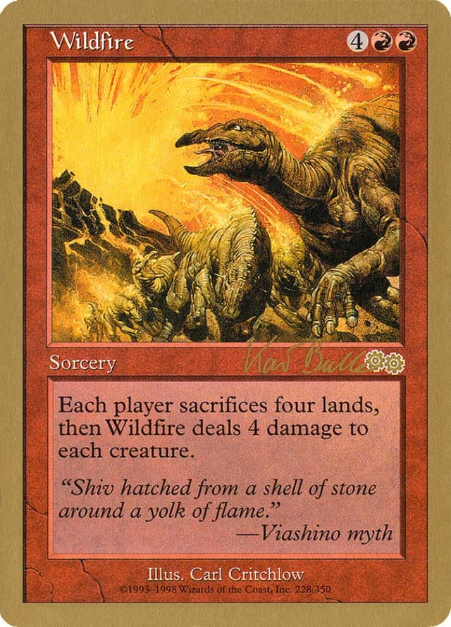 Wildfire image