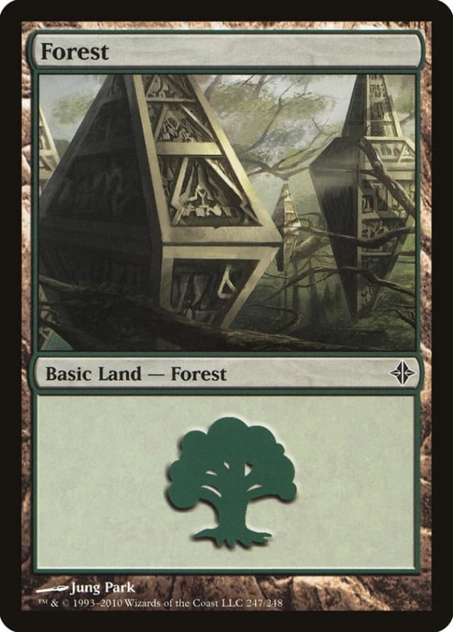 Forest image