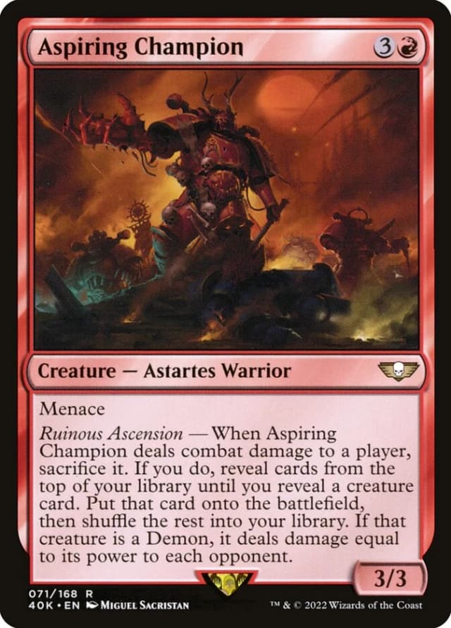 Aspiring Champion image