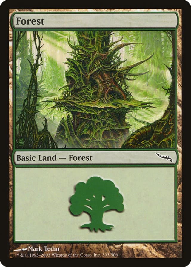 Forest image