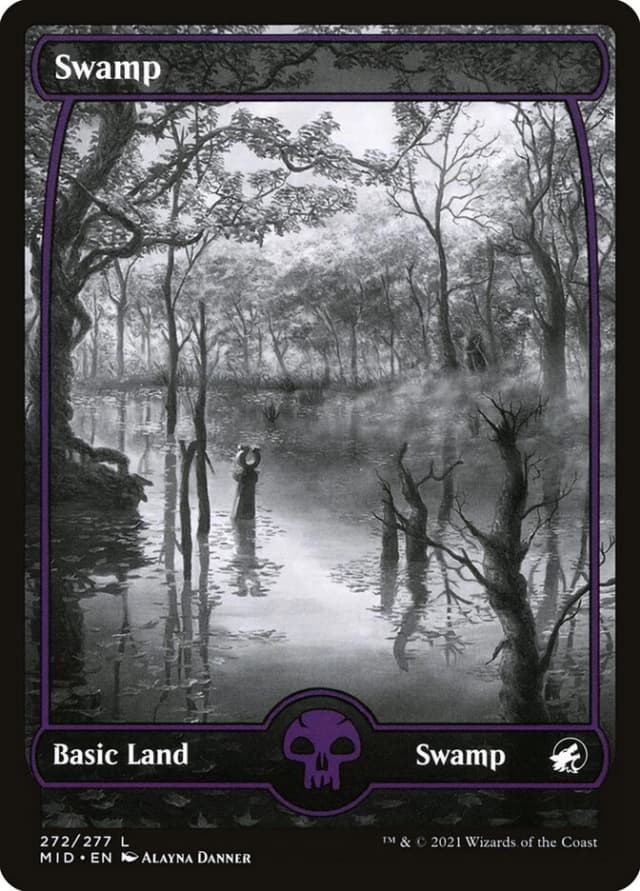 Swamp image