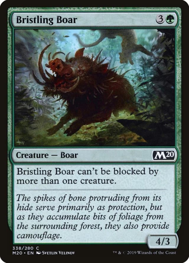 Bristling Boar image