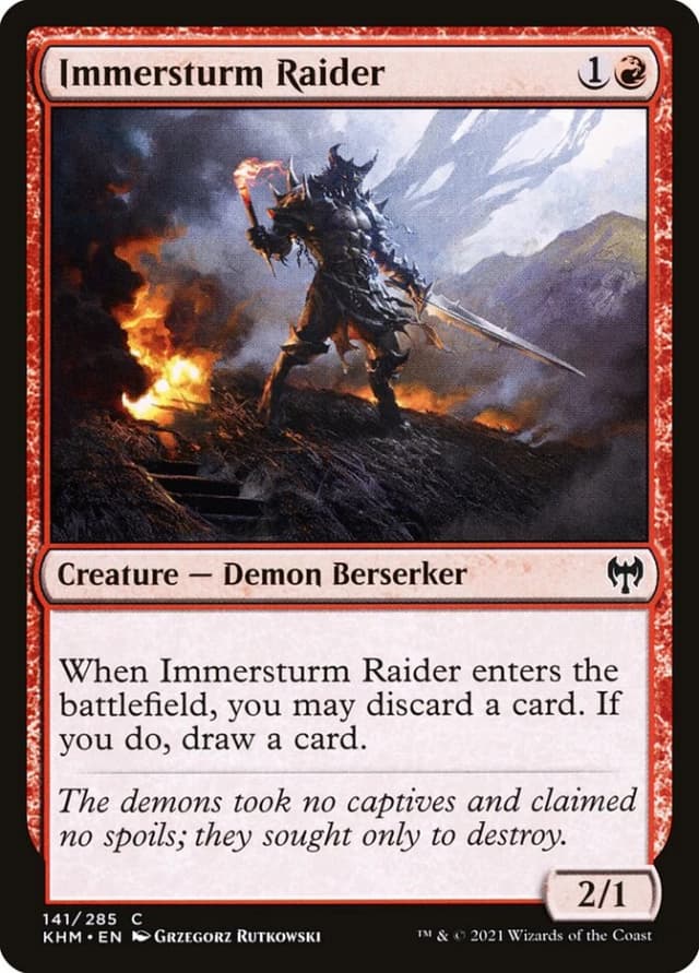 Immersturm Raider image