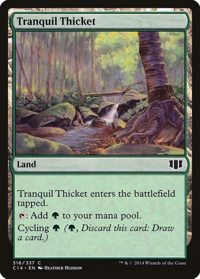Tranquil Thicket image