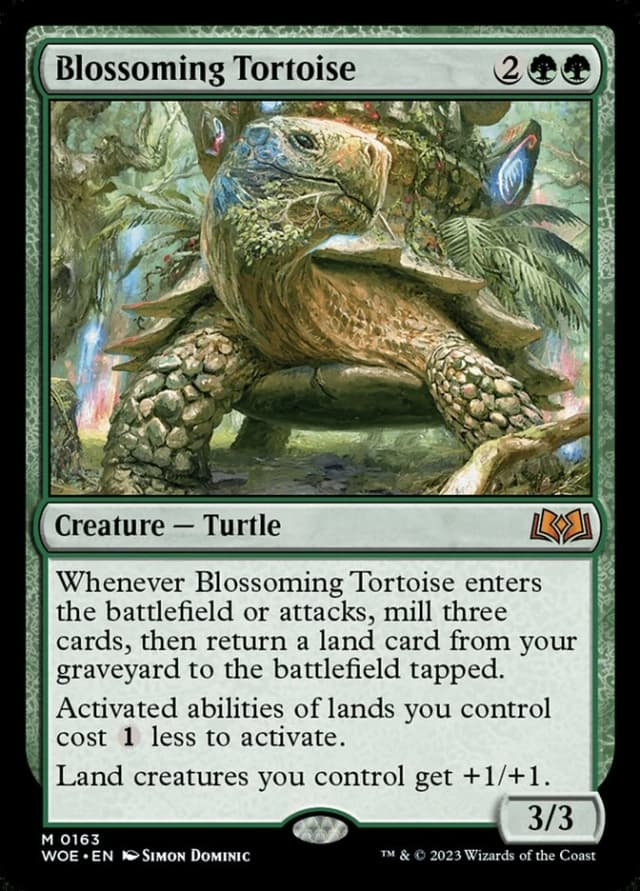 Blossoming Tortoise image