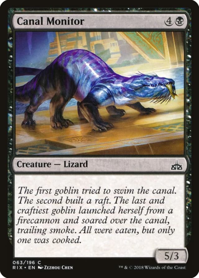 Canal Monitor image
