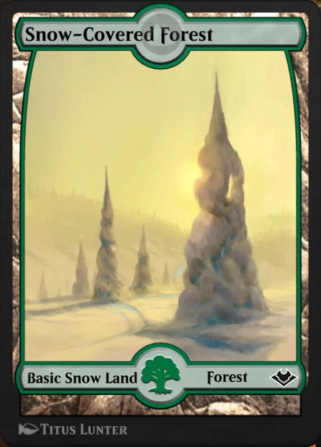 Snow-Covered Forest image