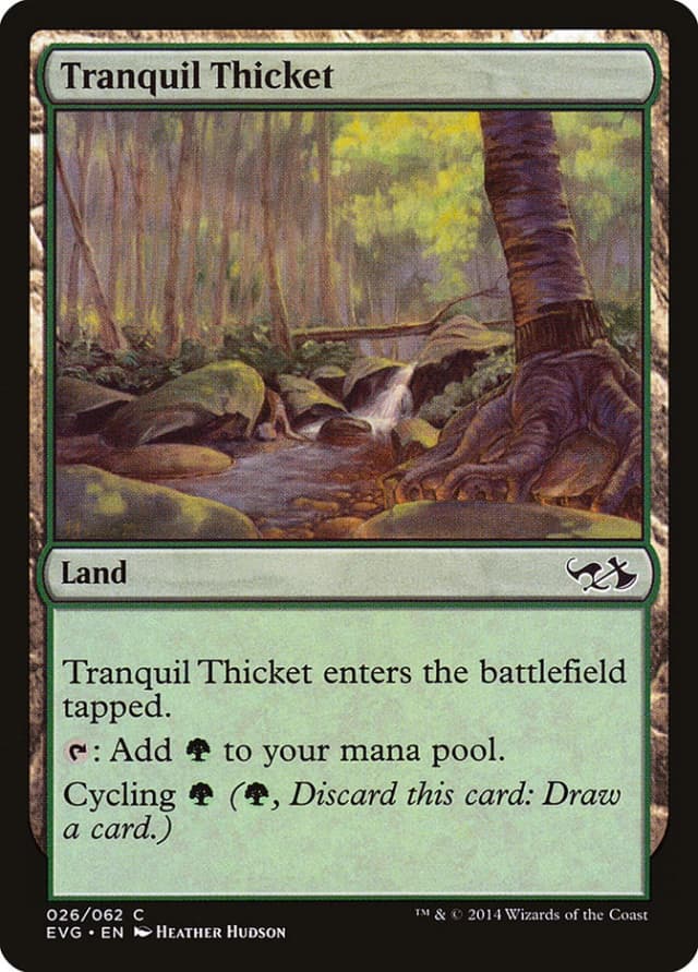 Tranquil Thicket image