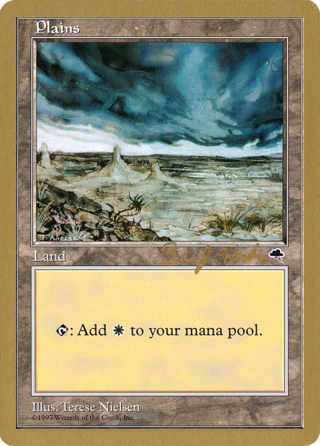 Plains image