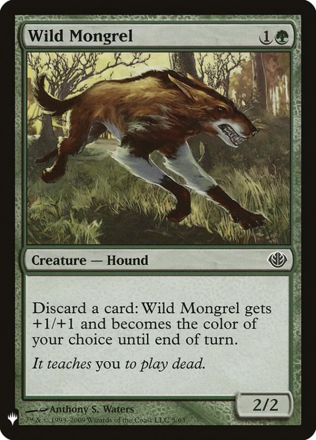 Wild Mongrel image