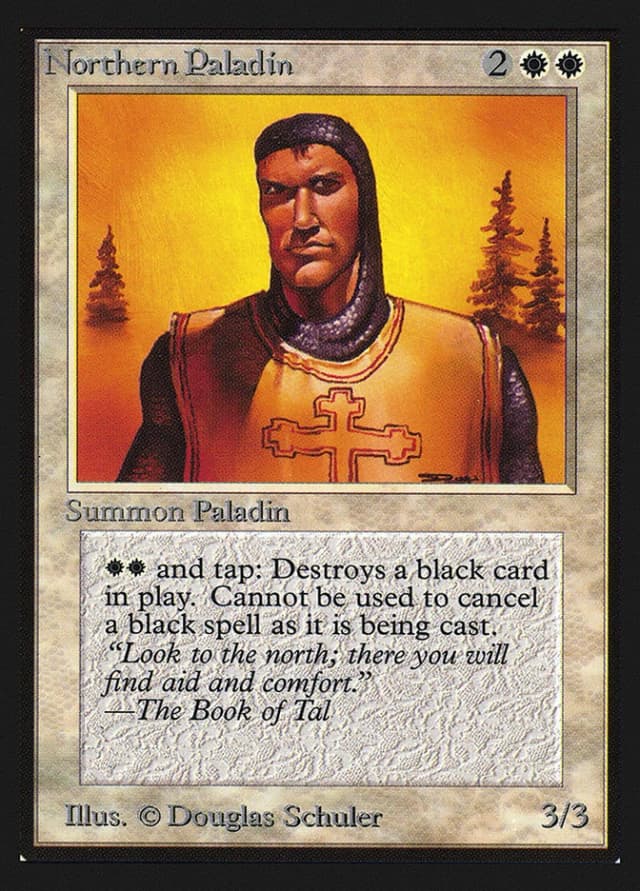 Northern Paladin image