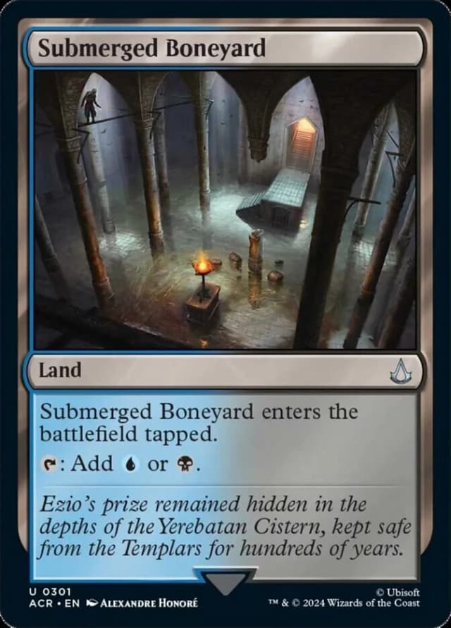 Submerged Boneyard image