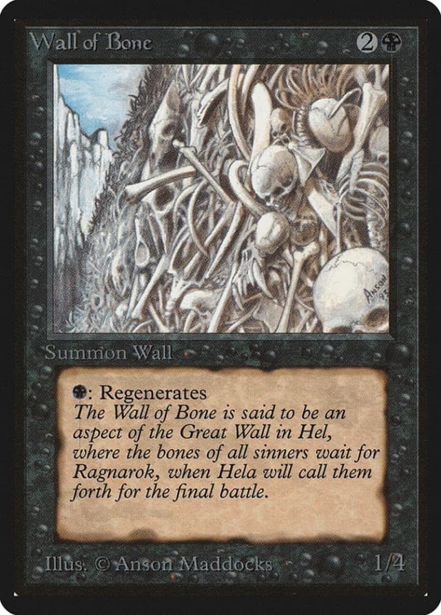 Wall of Bone image