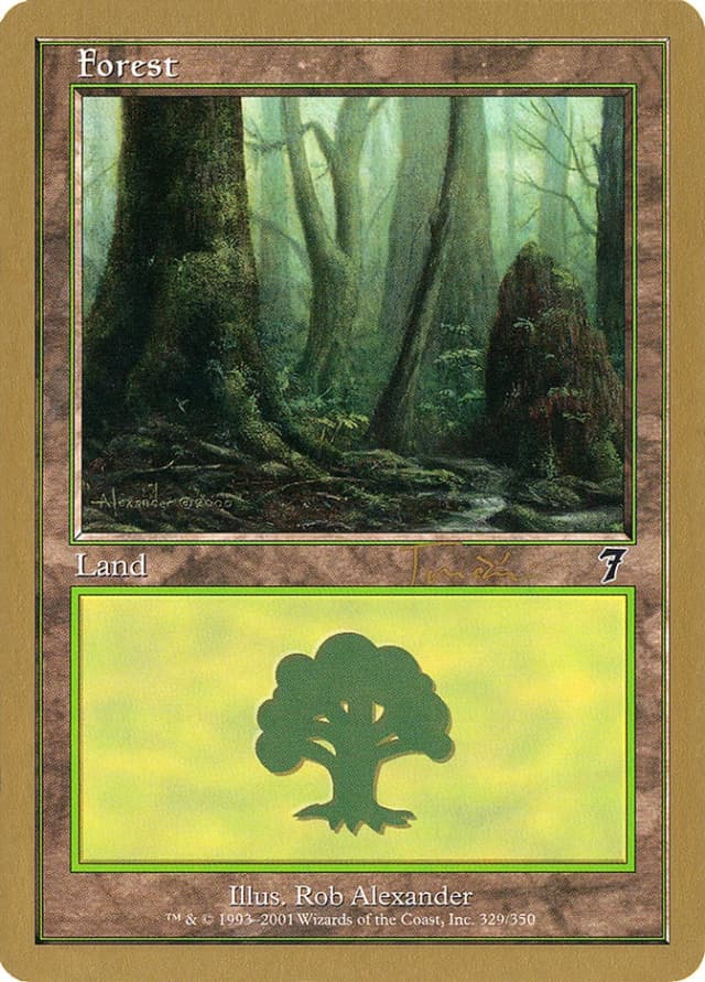 Forest image