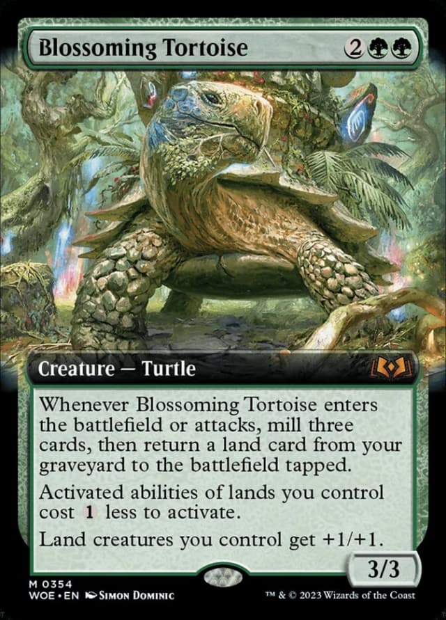 Blossoming Tortoise image