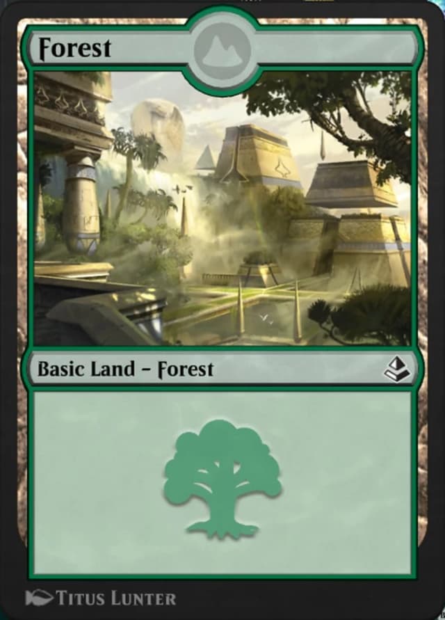 Forest image