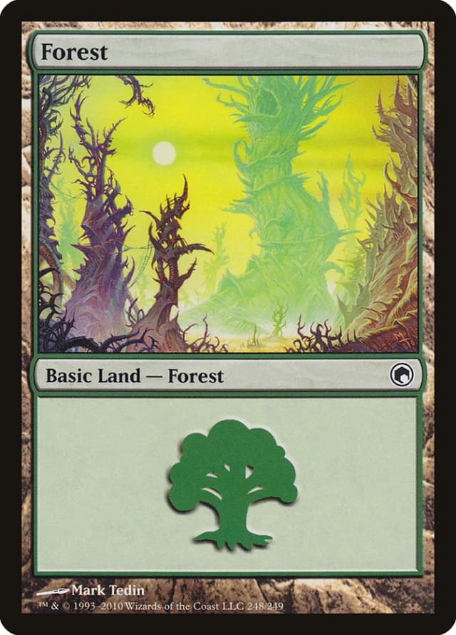 Forest image