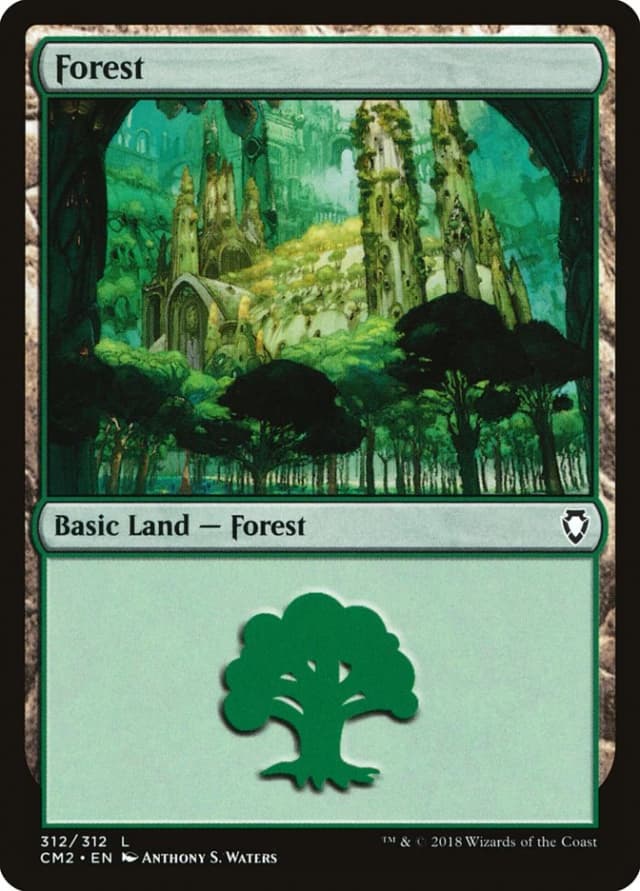 Forest image