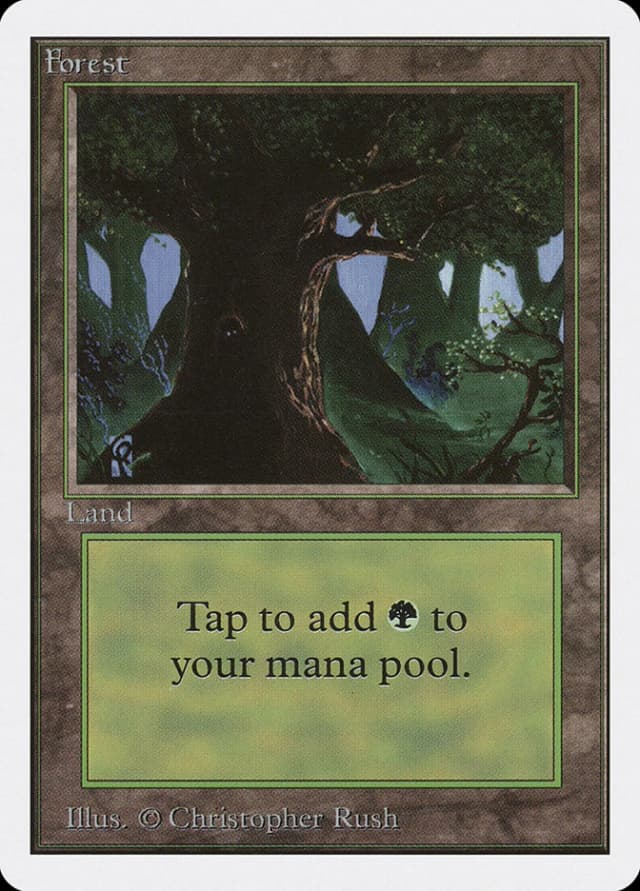 Forest image