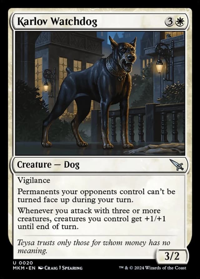 Karlov Watchdog image