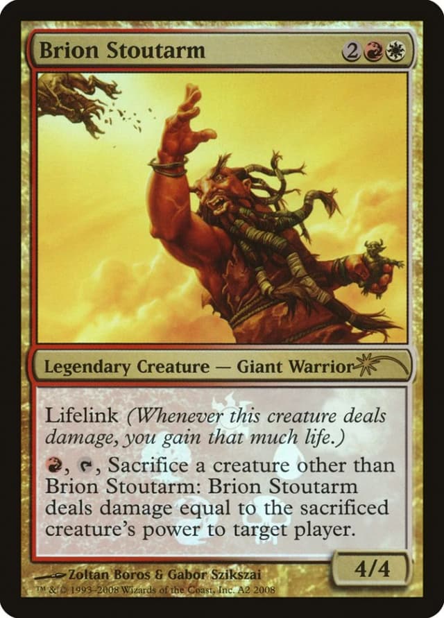 Brion Stoutarm image