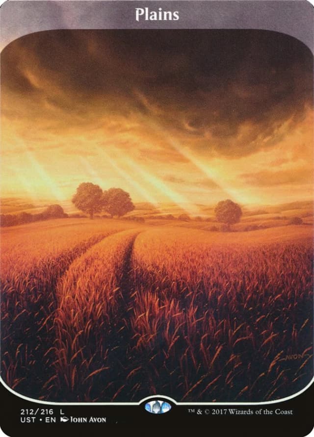 Plains image