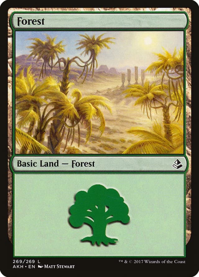 Forest image