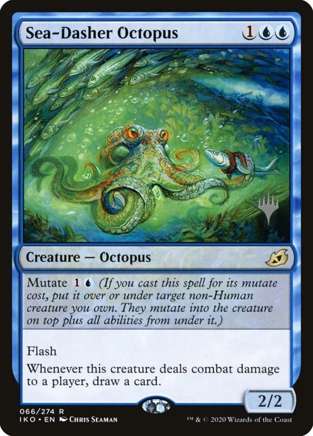 Sea-Dasher Octopus image