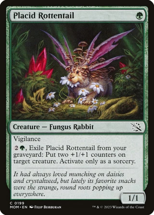 Placid Rottentail image