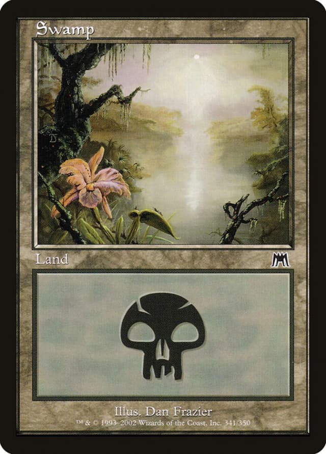 Swamp image