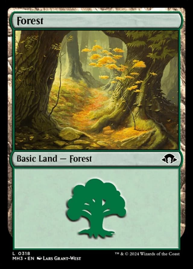 Forest image