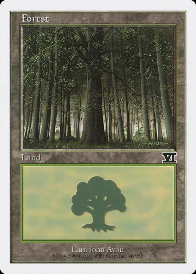 Forest image