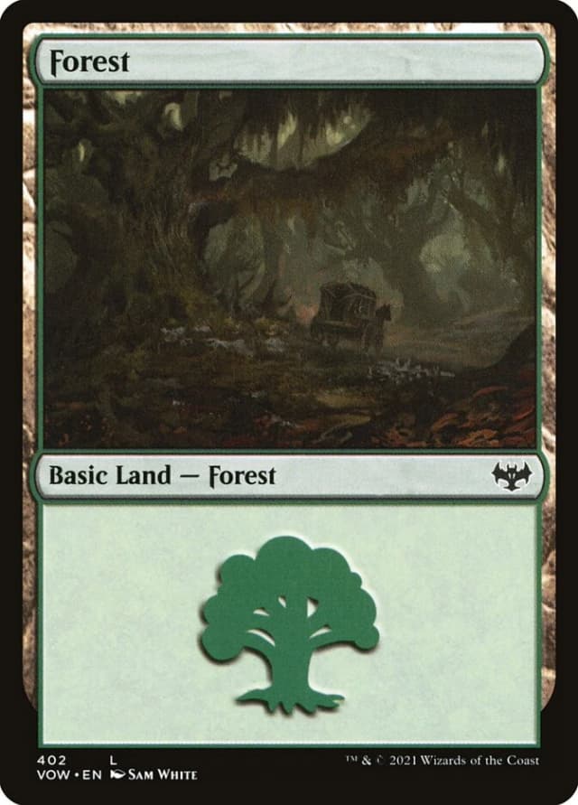 Forest image