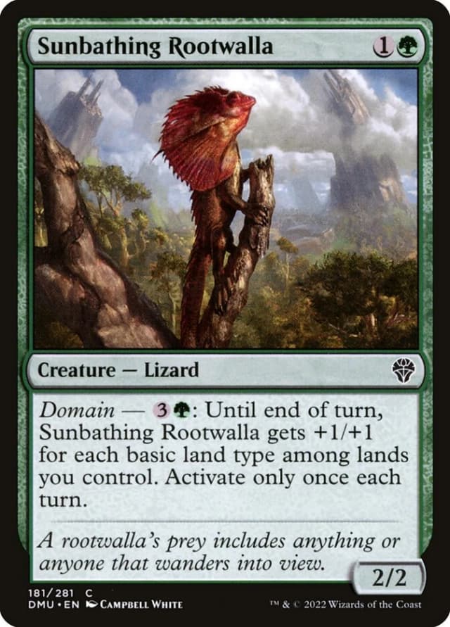 Sunbathing Rootwalla image