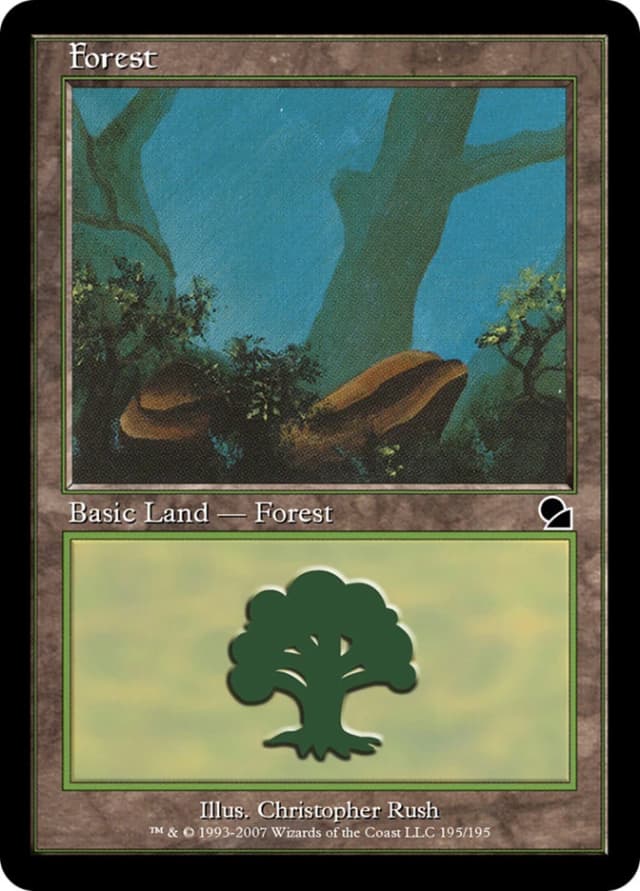 Forest image