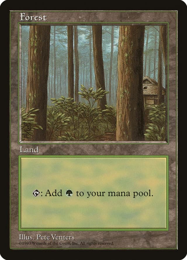 Forest image