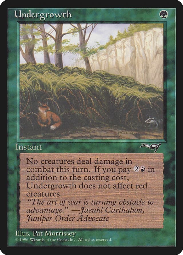 Undergrowth image