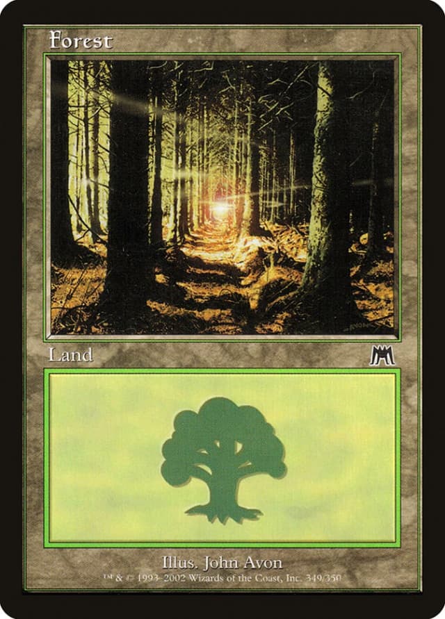 Forest image