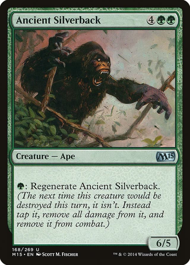 Ancient Silverback image