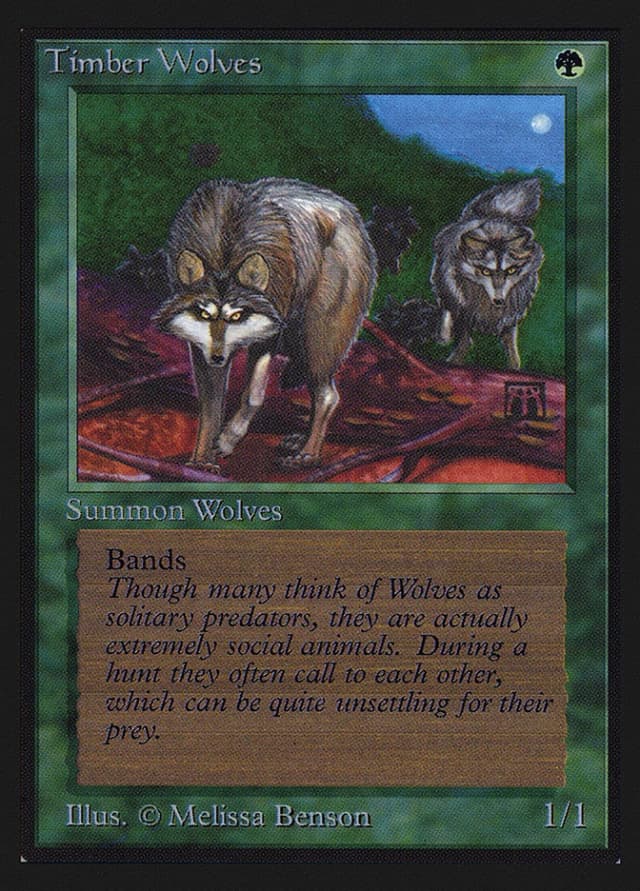 Timber Wolves image