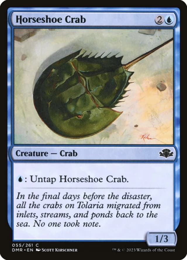 Horseshoe Crab image