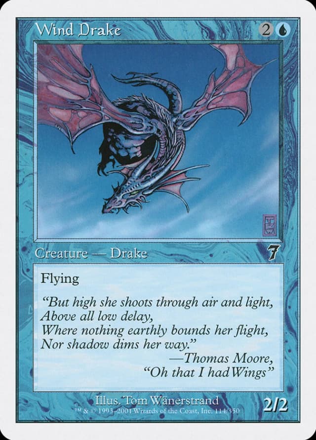 Wind Drake image