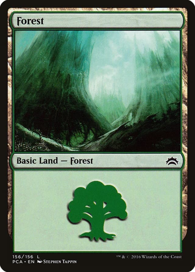 Forest image