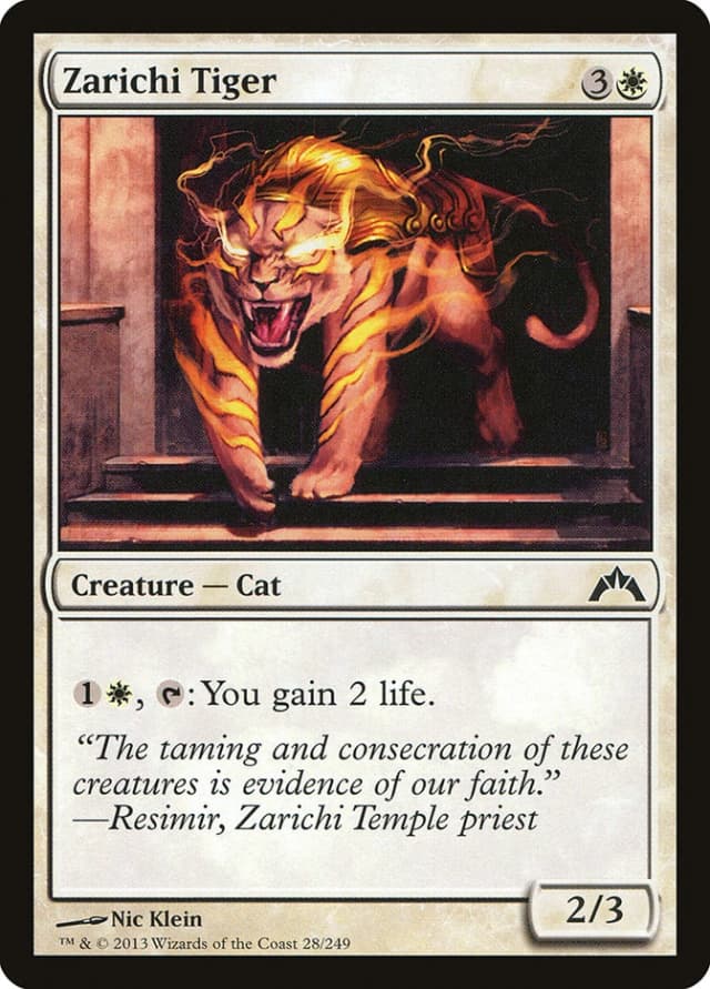Zarichi Tiger image