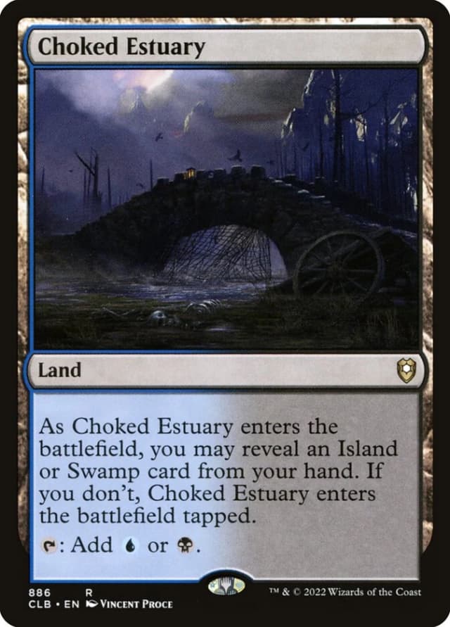 Choked Estuary image
