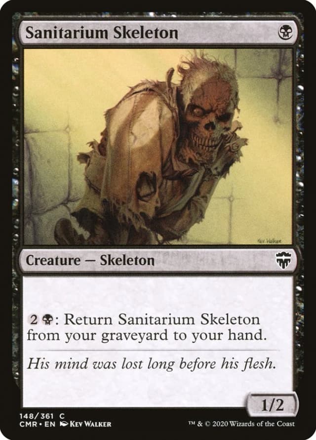 Sanitarium Skeleton image