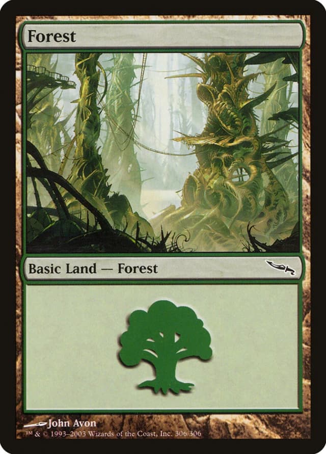 Forest image