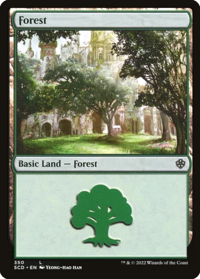 Forest image