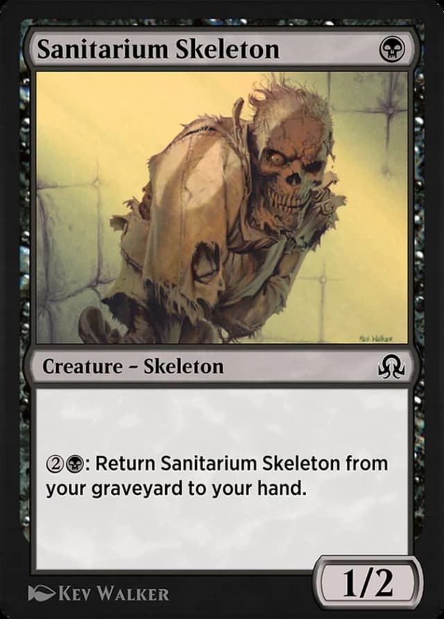 Sanitarium Skeleton image